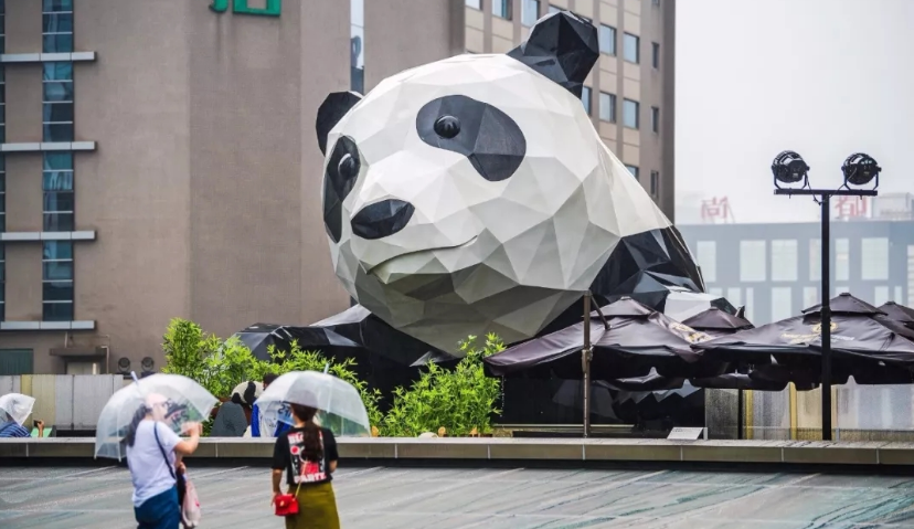 出海的成都“大熊猫”，为什么在TikTok上走红？