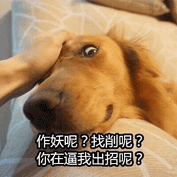 微信图片_20190228224359.gif