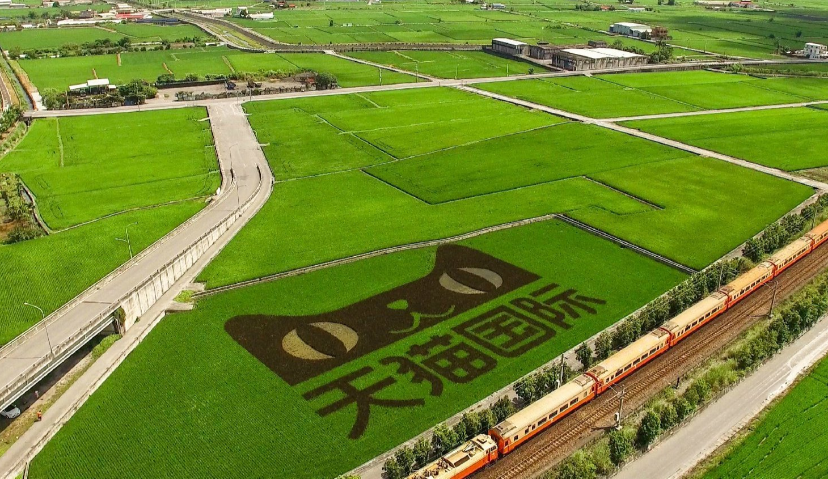 网易考拉卖身天猫，丁磊“电商梦”已碎一半？