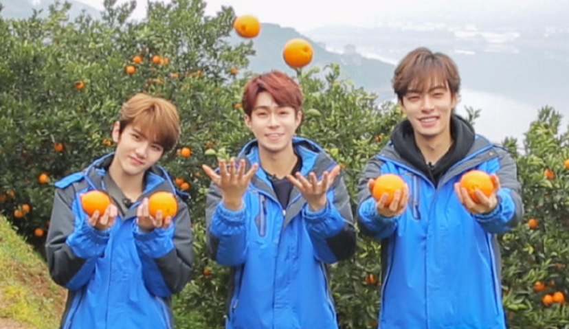 “献礼”大考来袭，爱优腾芒如何在综艺上大展身手？| 献礼季观察②