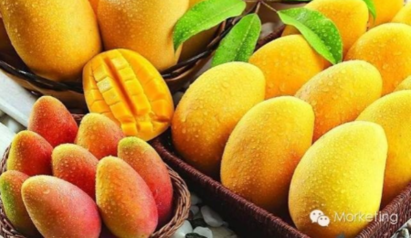 行业 | 如何向小白介绍何谓机器学习和数据挖掘？