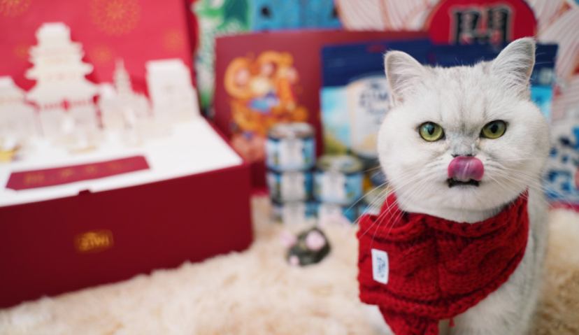 铲屎官为“留守宠物”囤年货，天猫国际宠物消费年前增长超400%