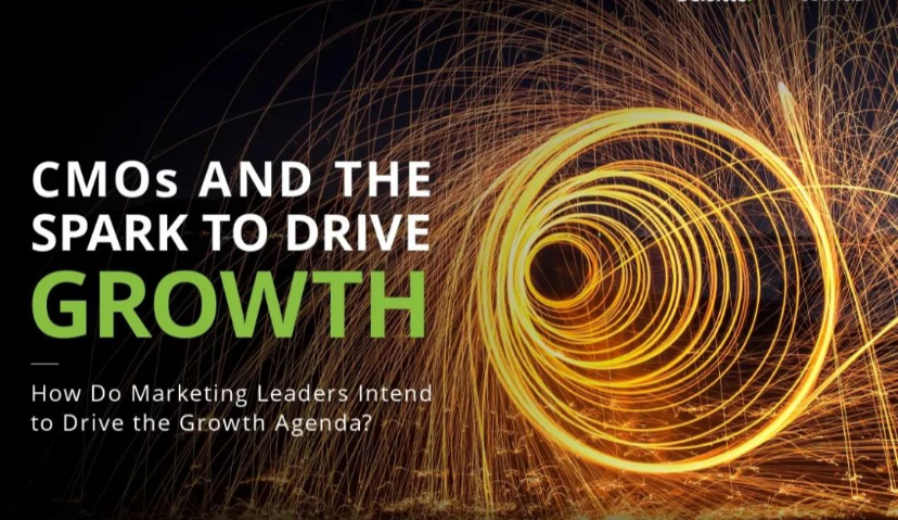 首席营销官（CMO）报告