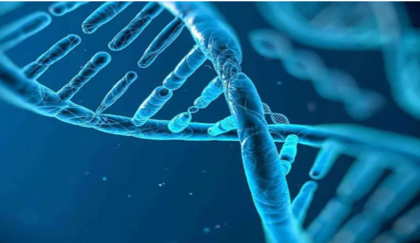 1999年诞生的太极链到区块链时代，要为营销行业做什么？