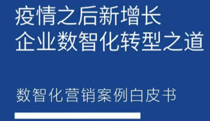 首份《数智化营销案例白皮书》发布