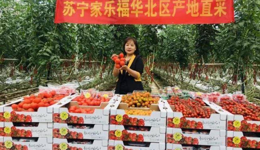 宏福柿试水直播超5万人观看 与家乐福联手打通线上线下营销新路径