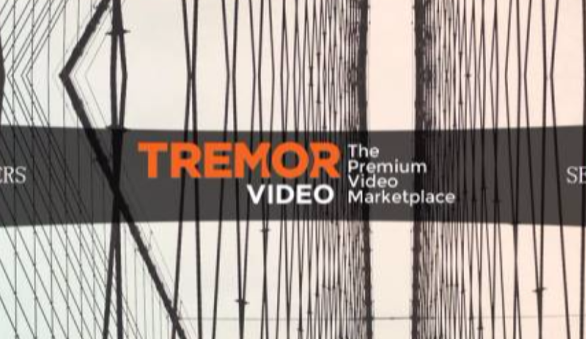 视频程序化多火？看这3家DSP财报就知道了