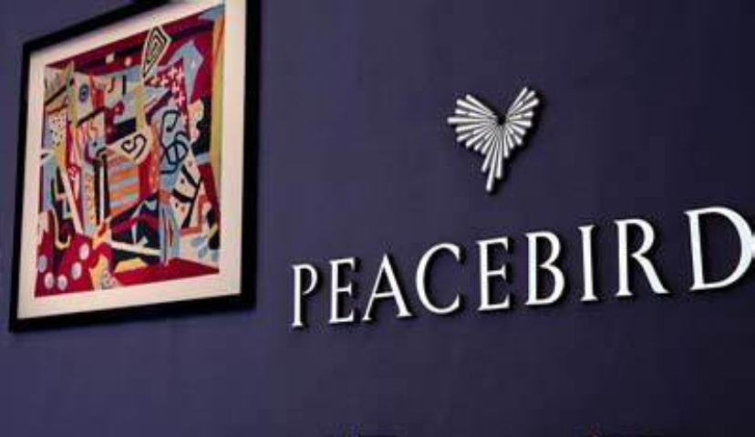 太平鸟定增8亿继续加码科技数字化转型