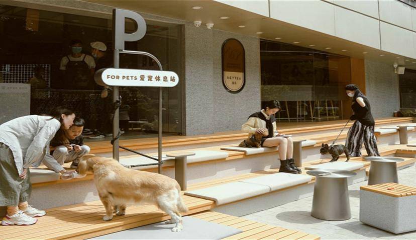 喜茶首家“宠物店”，门店也能社交化