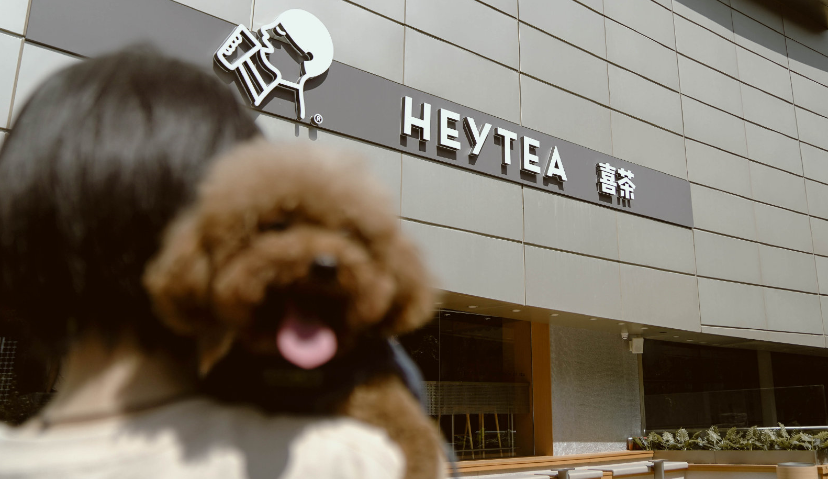 喜茶开设全国首家“宠物店”，“它经济”能否走红茶饮界？