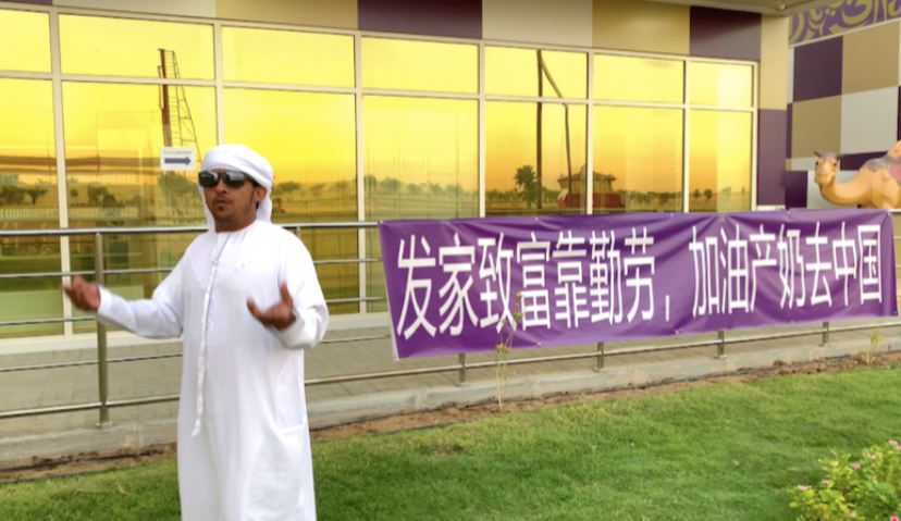 “小众奶”兴起，进口植物奶、骆驼奶、羊奶粉在天猫国际热销