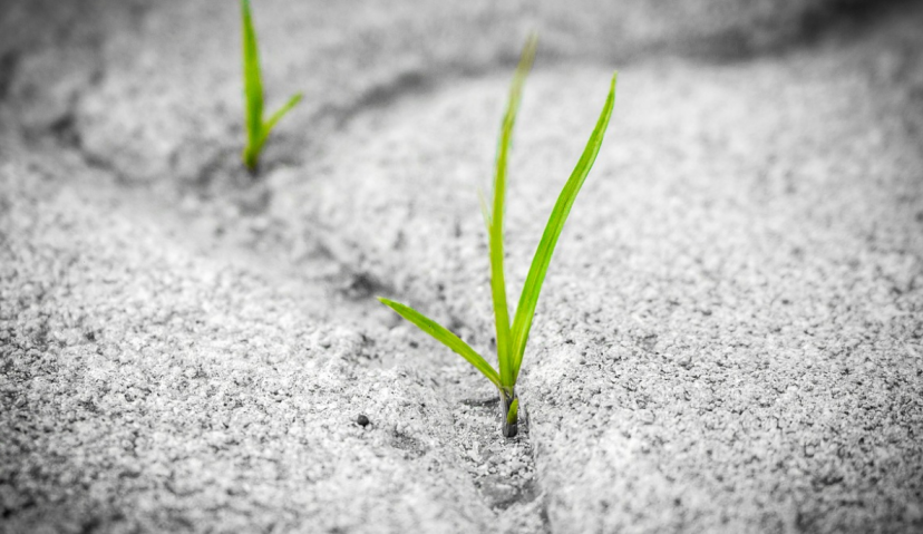 7大主流种草玩法合集，精细化种草怎么玩？