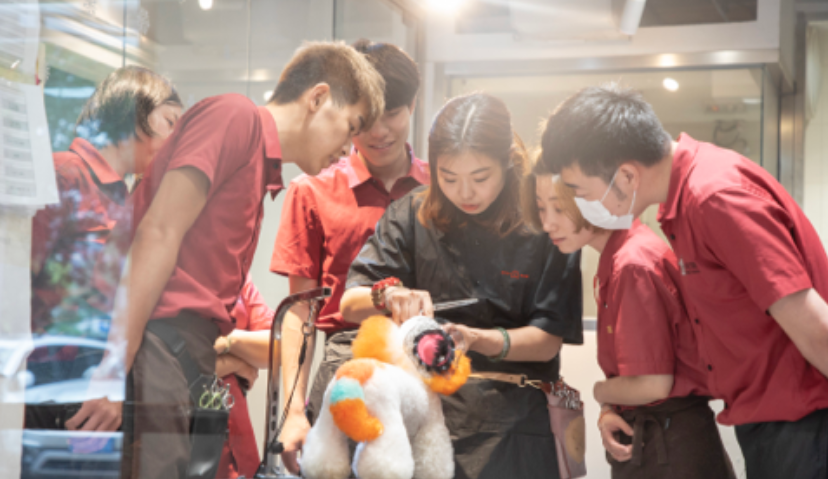 「宠物家」已完成亿元级B轮与B+轮融资，2021年计划开店130余家