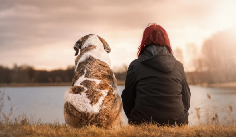 4000字解析，Z世代人群的新式消费观