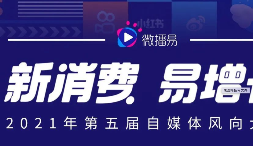  微播易2021风向大会丨UP主割亿级流量，品牌如何复刻“镇站之宝”