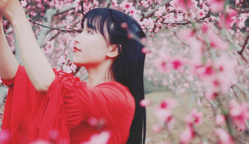 字节跳动投资李子柒签约公司“微念”