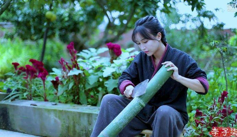 李子柒教给品牌们的一堂课