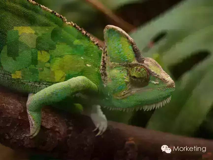 原生广告（二）：四大问题详解移动原生广告