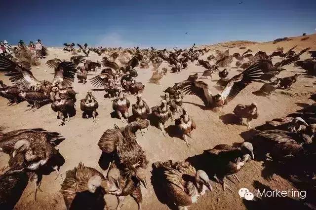 非洲草原上“秃鹫的盛宴”——优衣库事件引发的冷思考