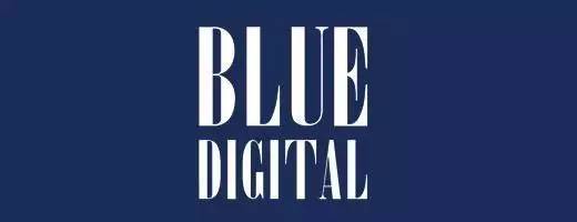 BlueDigital 蓝标数字 招聘客户主任