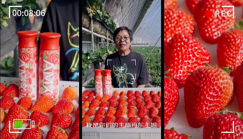 upload/20220313/164717494476254861.jpg 199880-1646995576.jpg