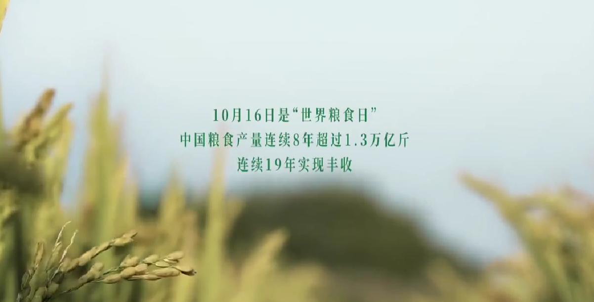 22.png