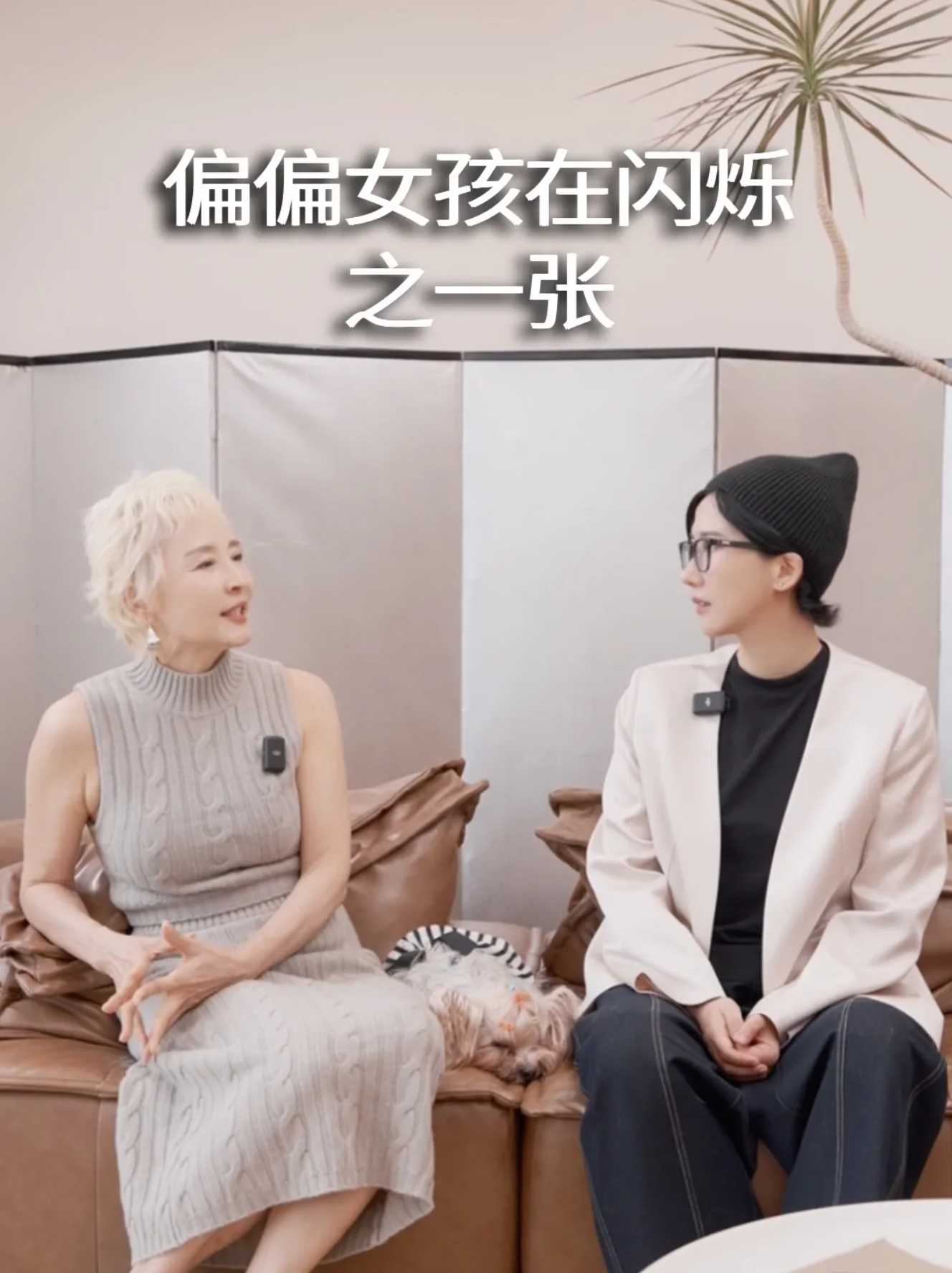 截屏2025-06-04 17.18.36.png