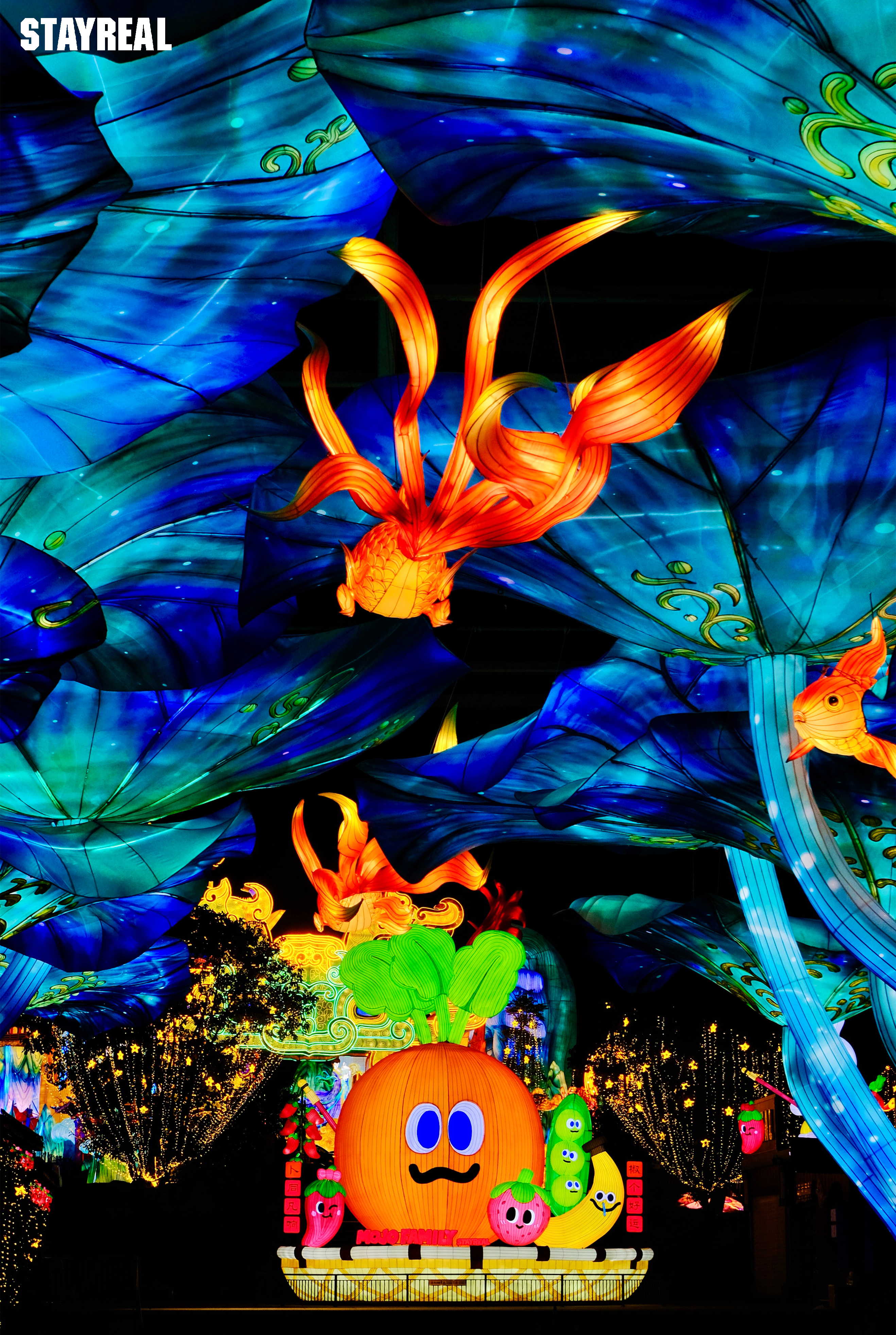 upload/20260127/1769499828112468918.jpg 微信图片_2026-01-27_154340_115.jpg