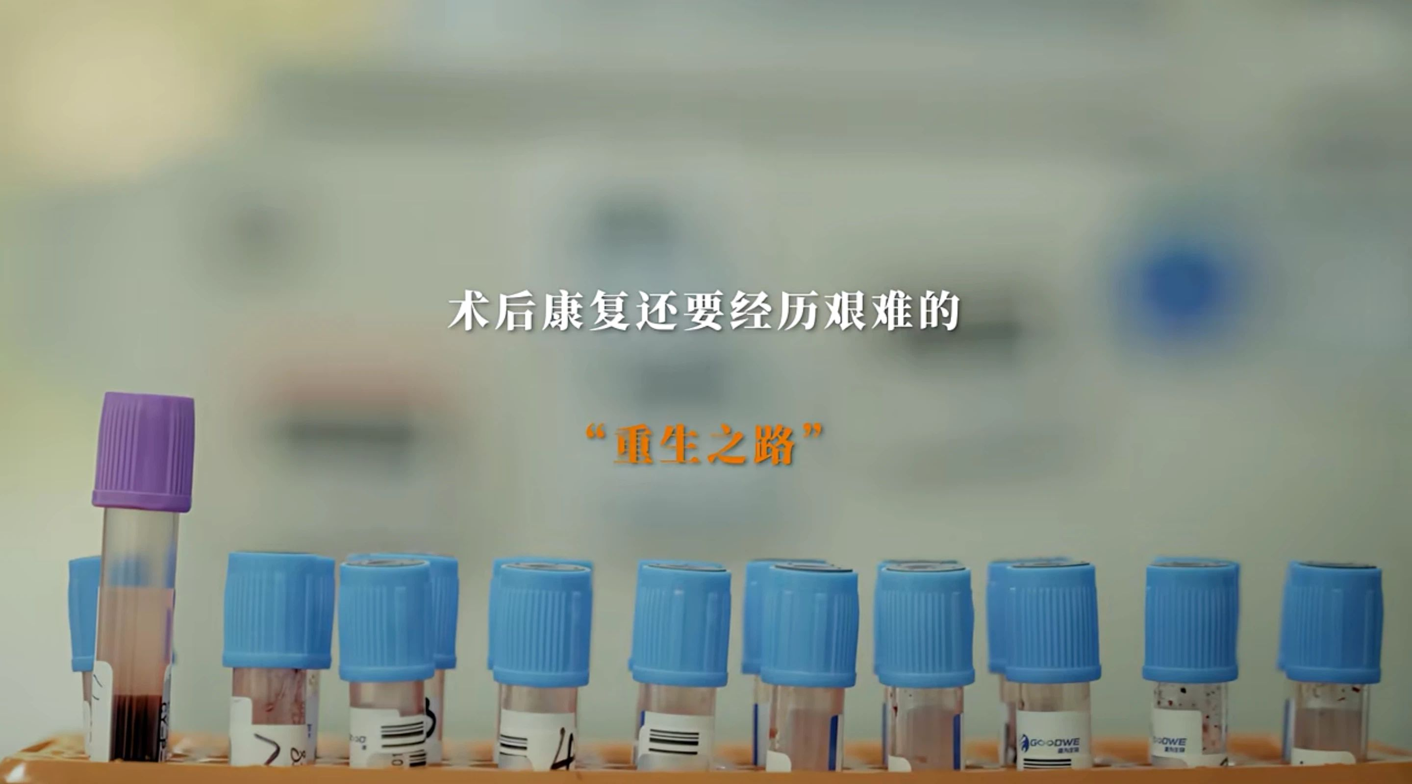 upload/20260327/17745767634921725.png 微信图片_20260327095505_1134_129.png