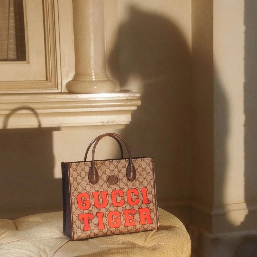 Gucci虎年用真虎拍广告，动保组织怒了，网友也不买账