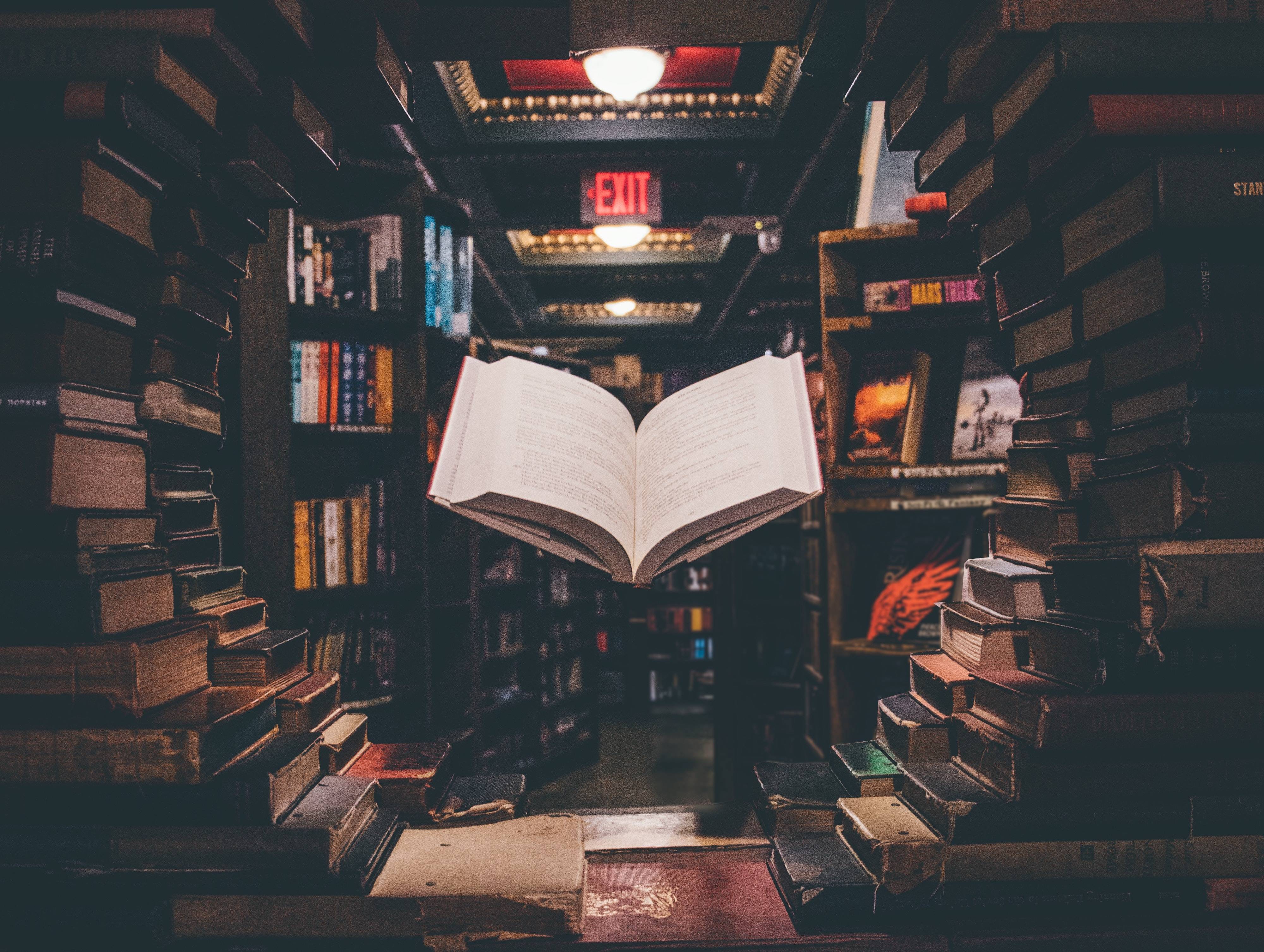 数字人化身“创作者”，泛知识带货“玩”的是长期价值？