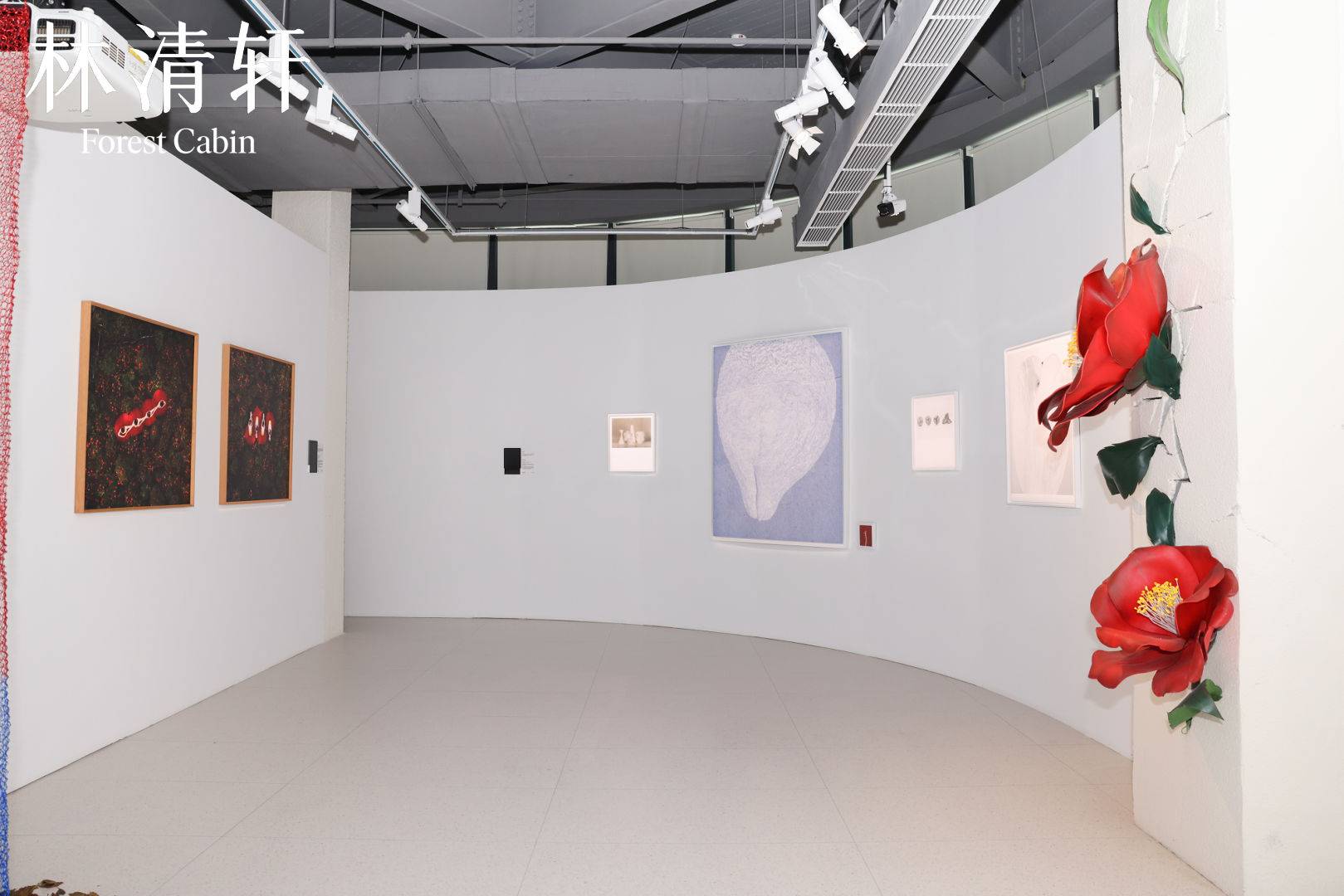 _7955_324915695_eff_preview_68122e36-07b2-4598-affe-97de574b6418